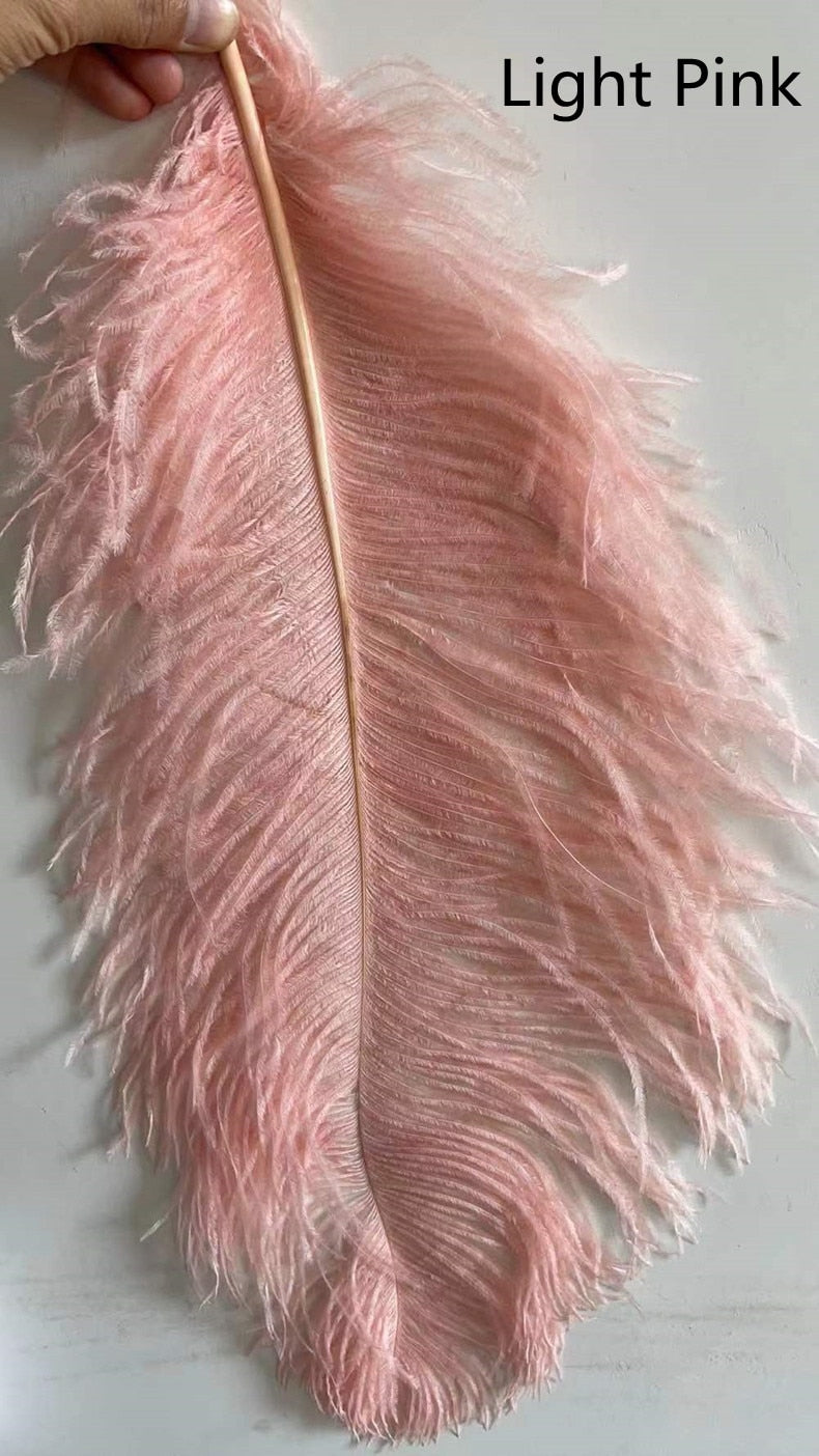 Ostrich Feather LED Floor Lamp 5'9