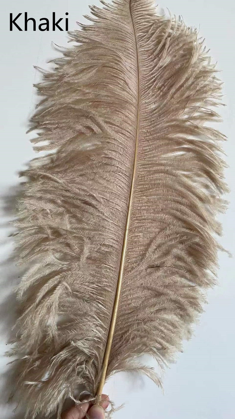 Ostrich Feather LED Floor Lamp 5'9