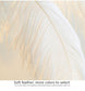 Ostrich Feather LED Floor Lamp 5'9