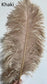 Ostrich Feather LED Floor Lamp 5'9